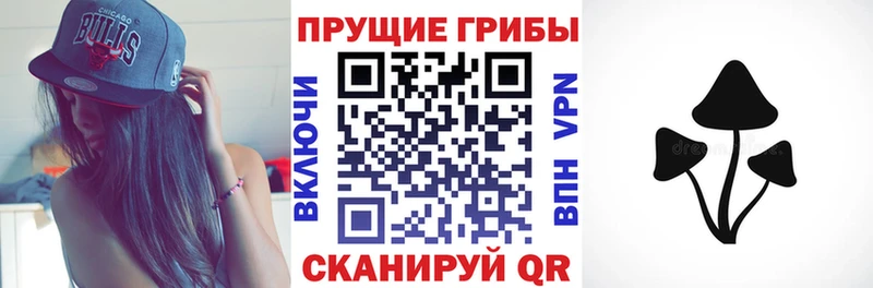 kraken tor  Гремячинск  Псилоцибиновые грибы прущие грибы 